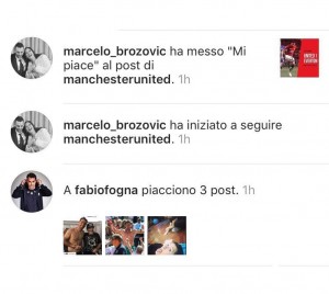 brozovic